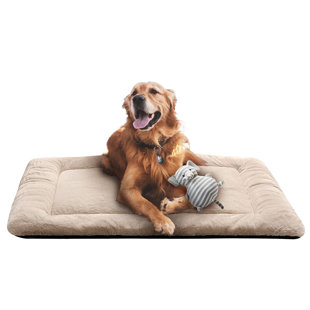 Wayfair 2025 pet beds